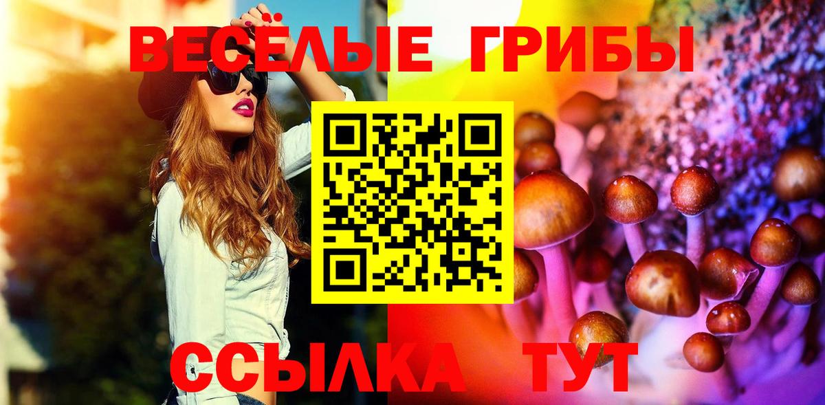Ишим  Псилоцибиновые грибы Psilocybe  Вход с VPN  Псилоцибиновые грибы мицелий 